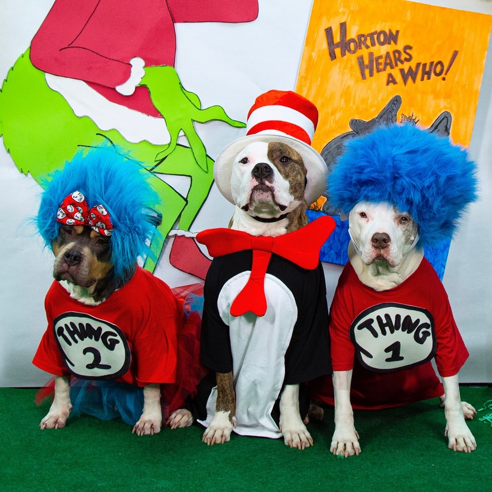 Meet your Posher, Becky